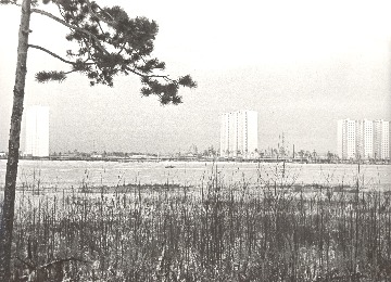 Комсомольское озеро (общий вид), 1980. Основание: НГА. Ф.Ф, Оп.1, Д.1259, Л.1